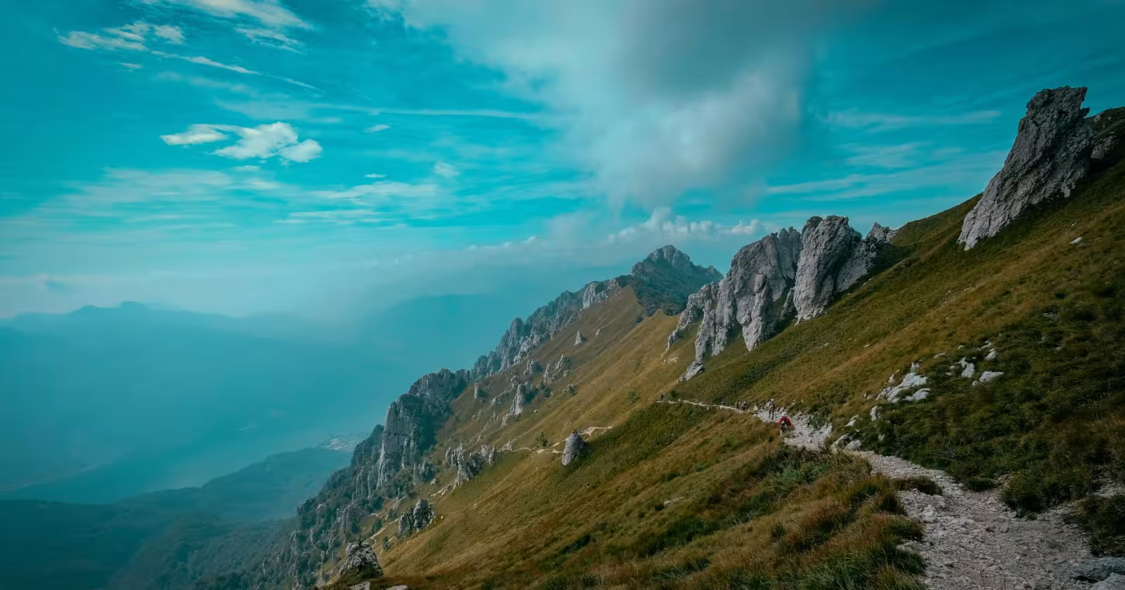 Indian student reading polity notes
