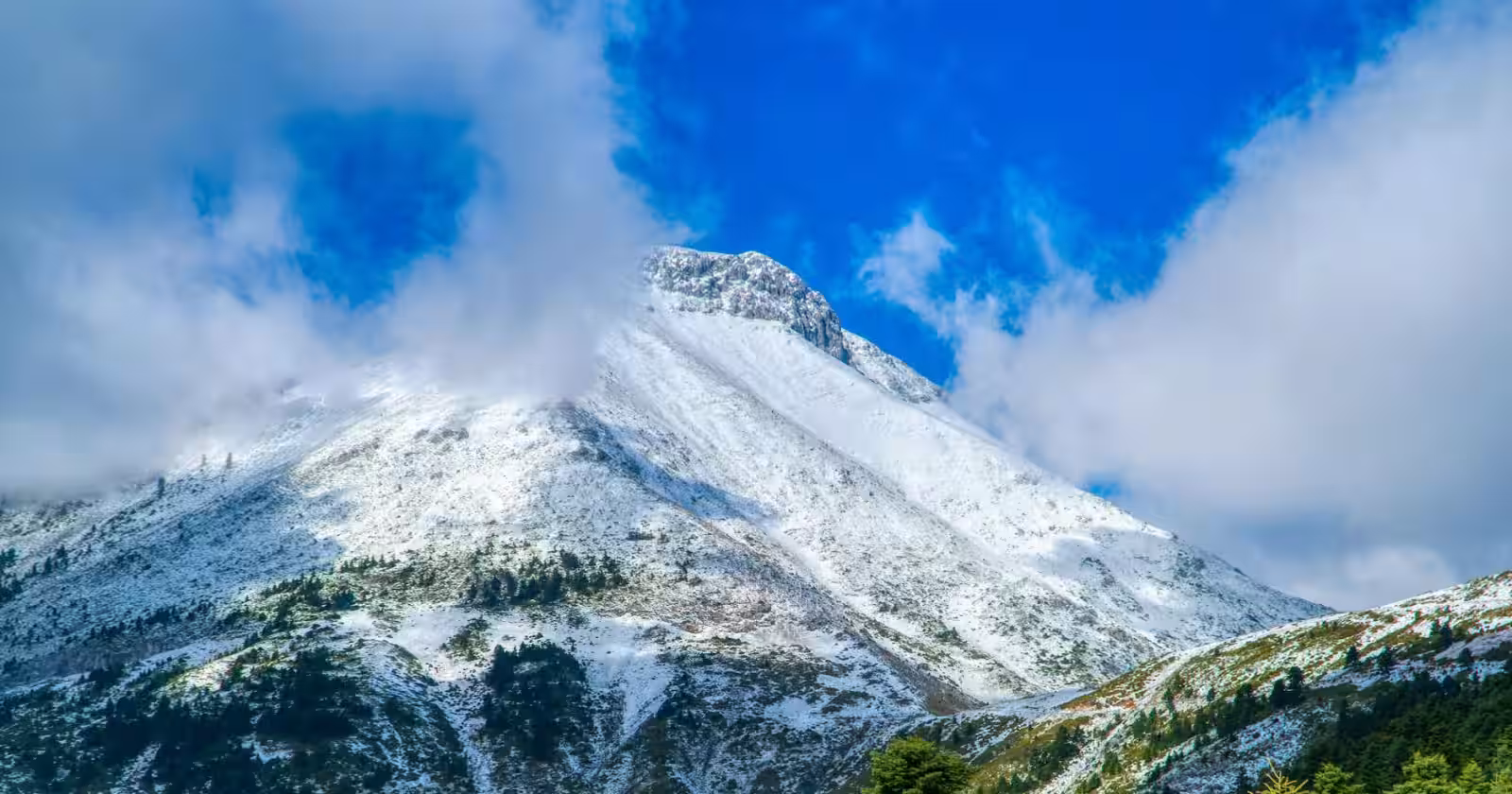 Indian student reading polity textbook