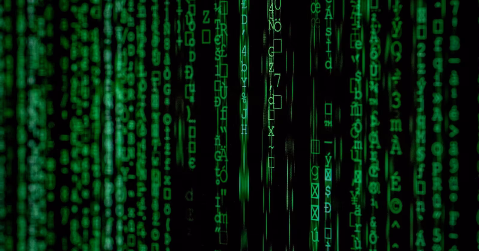 Students checking 12th board exam result